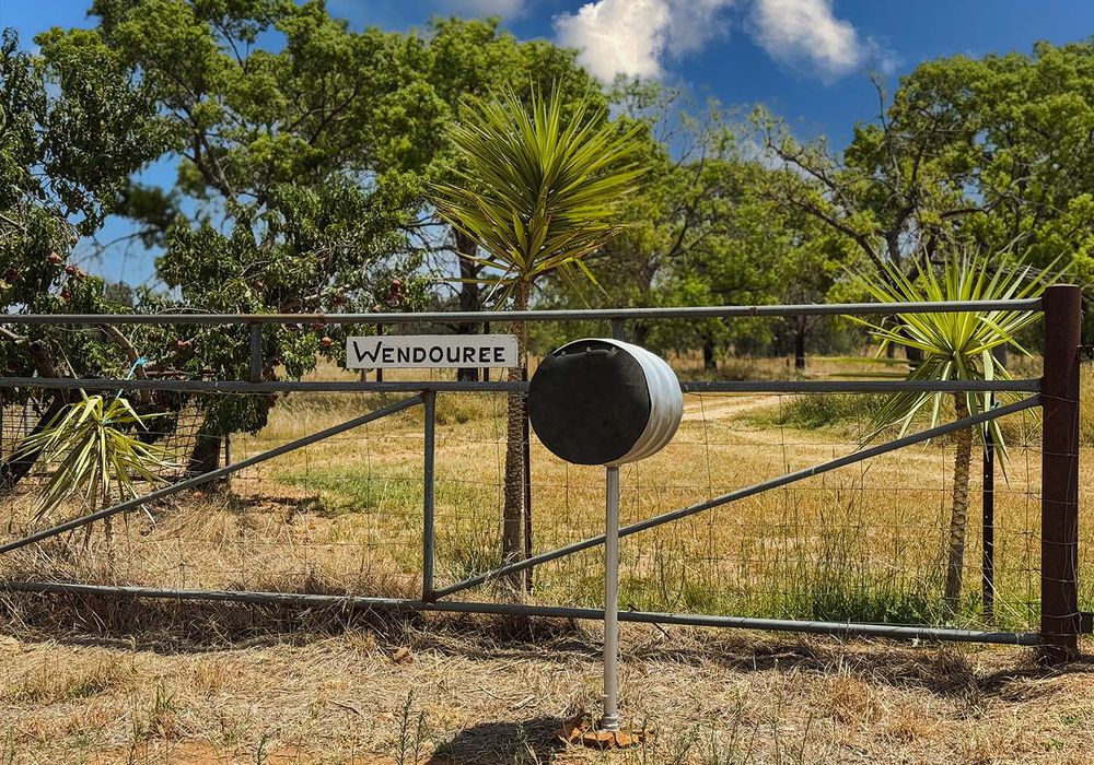 2643 Back Trundle Road, Cooks Myalls