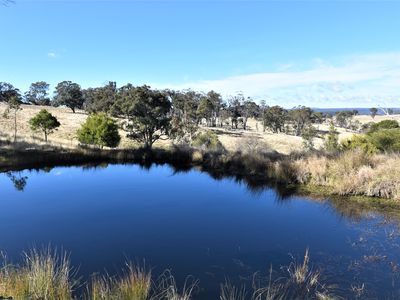 13983 Gwydir Highway, Shannon Vale