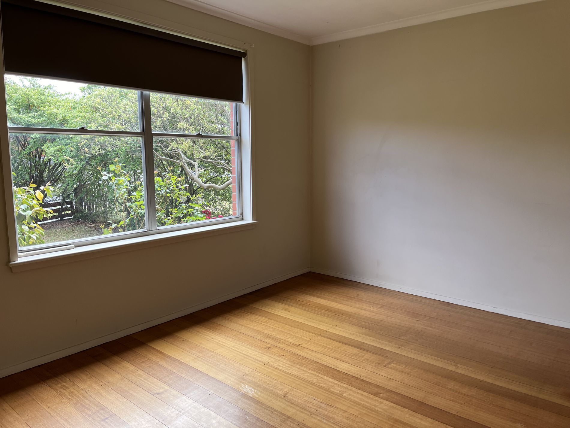 3 Hibiscus Crescent, Newcomb
