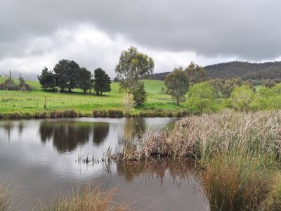 Beechworth-Wodonga Road, Wooragee
