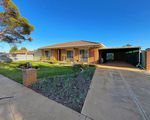 1 Hassell Court, Irymple