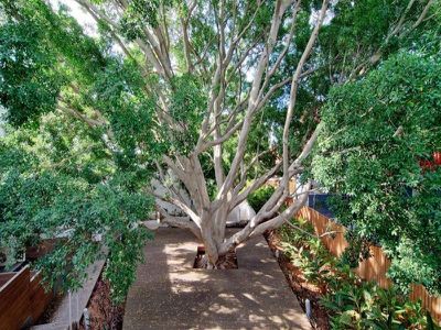 301 / 1 McKinnon Avenue, Five Dock