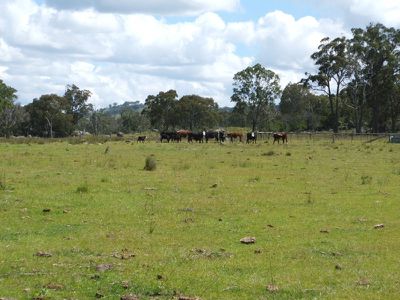 Red Hill Road, Stannum