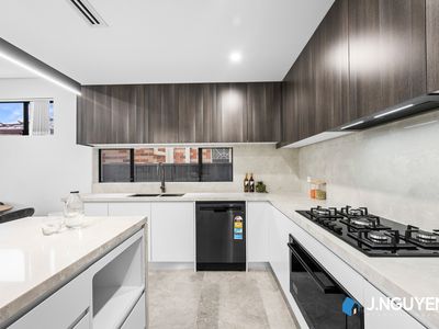24a Buckingham Street, Canley Vale