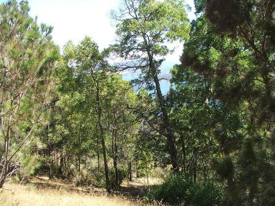 109 Williams Road, Randalls Bay