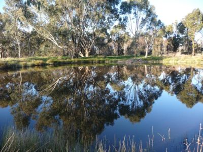 Lot 2 Fanning Lane, Wooragee