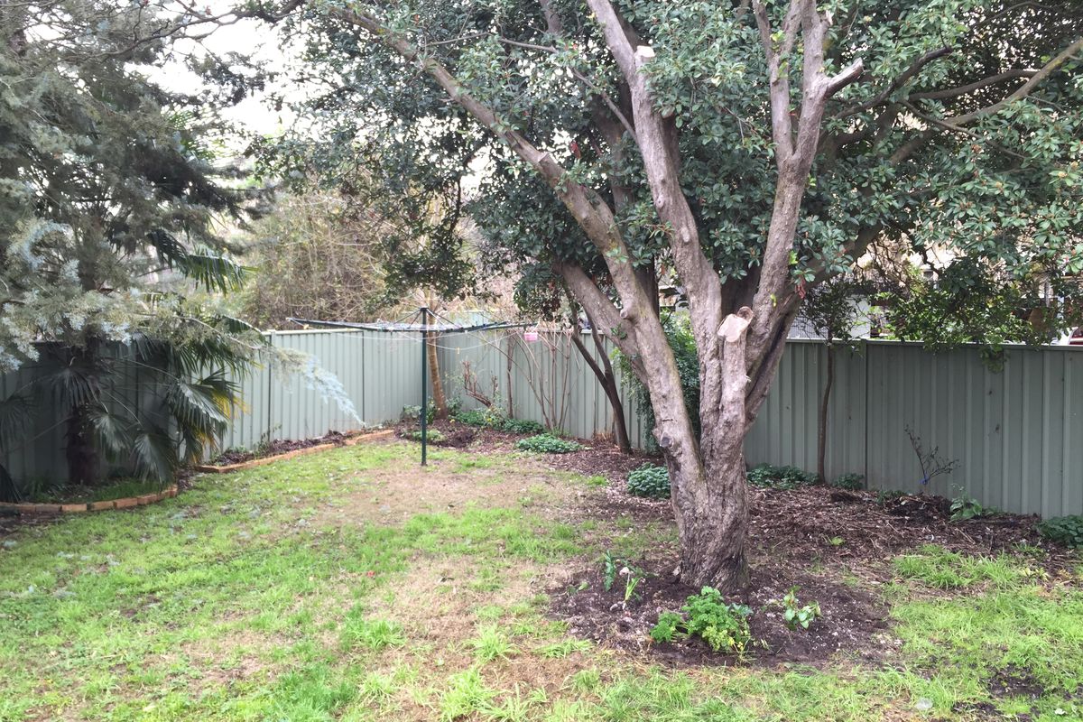 15 Ailsa Street, Mansfield