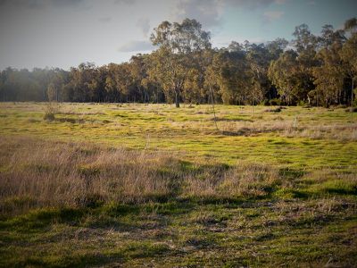 899 River Road, Murrabit West