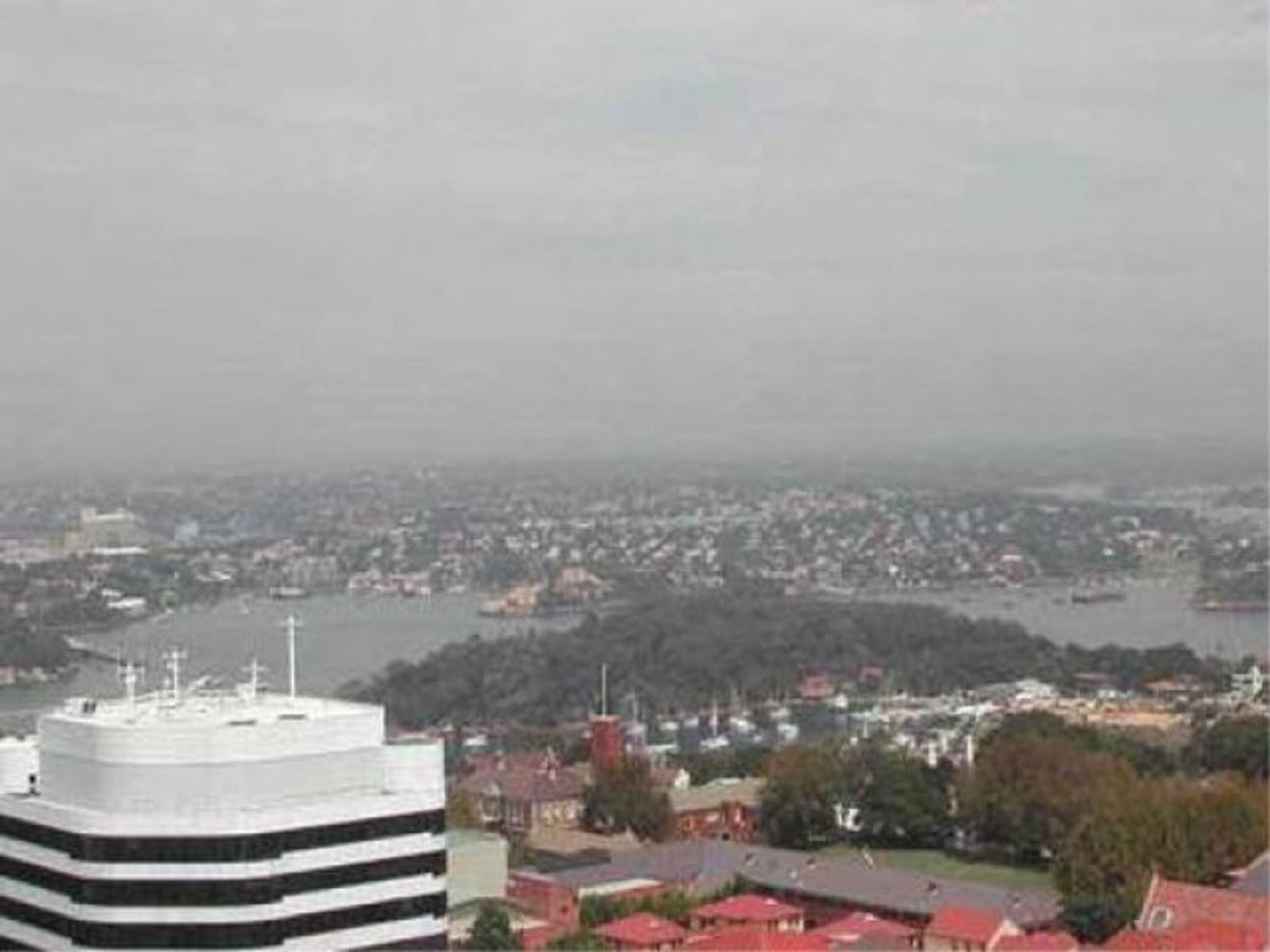 2403 / 77-81 Berry Street, North Sydney