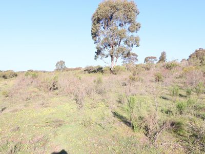 58 Hall Road, Heathcote