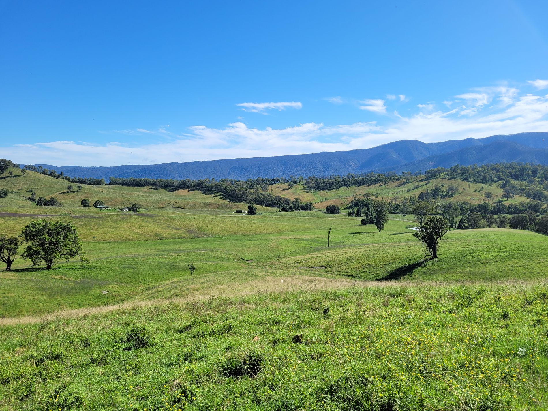 552 Neringla Road, Neringla