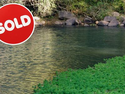 1242 Tuntable Creek Road, Nimbin