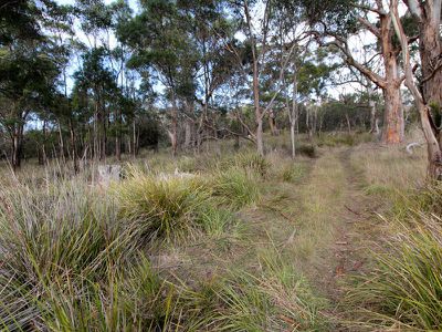 Lot 1 & Lot 2 Jacinda Drive, Gardners Bay