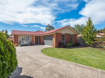 12 Vista Close, Gisborne