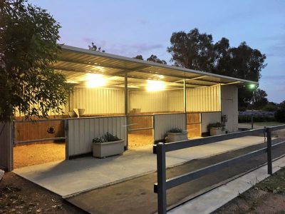 167 Tynan Road, Table Top