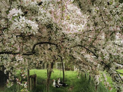 16 Arve Road, Geeveston