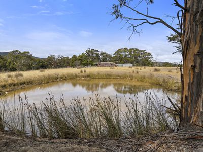 289 Roaring Beach Road, Nubeena