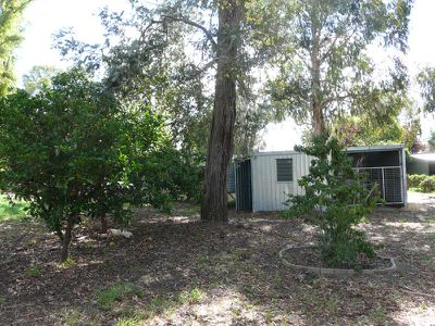 Tocumwal