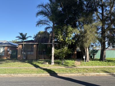 40 Lyall Ave, Dean Park