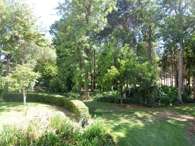 219 Mallinson Road, Griffith