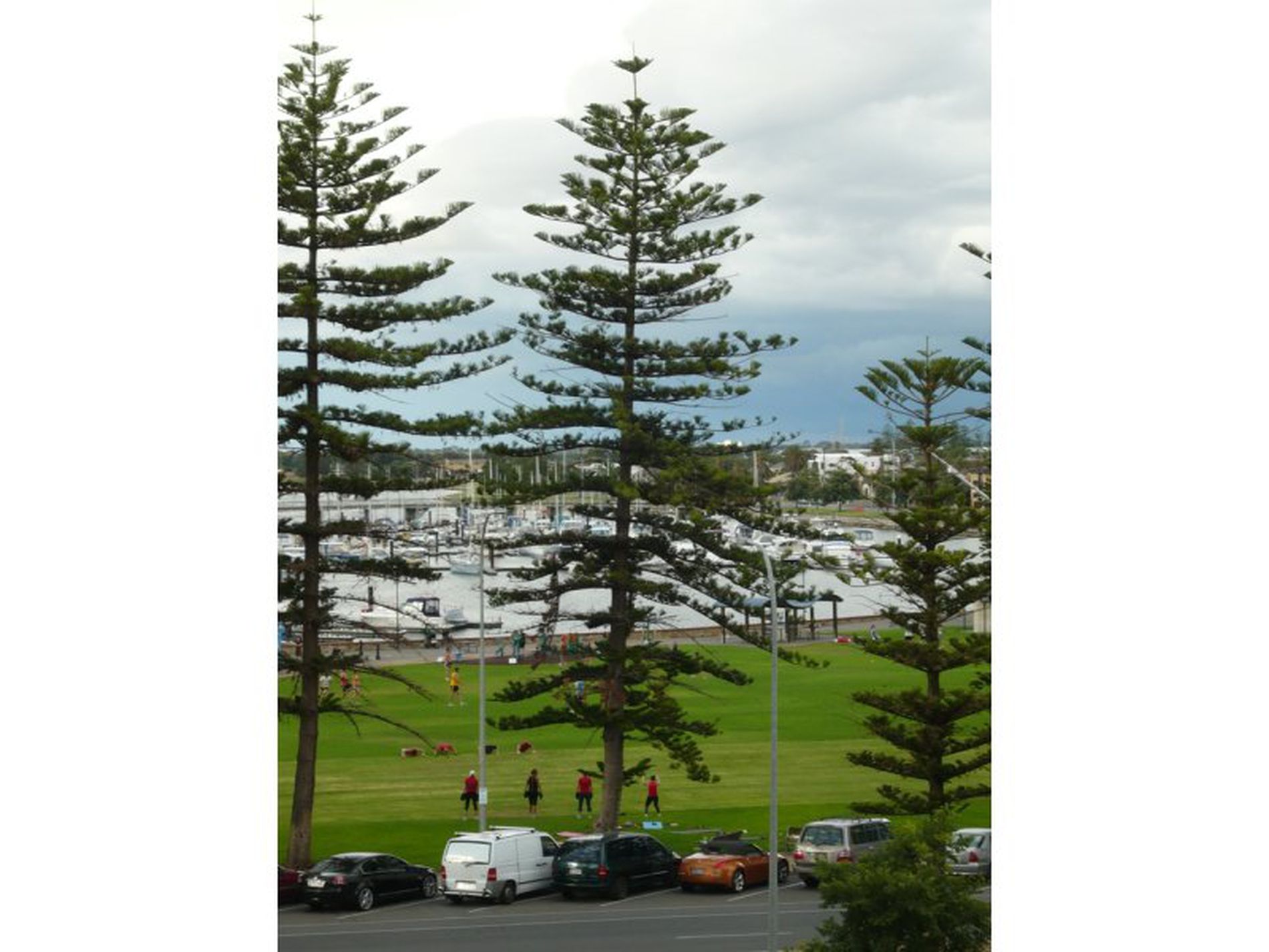420 / 27 Colley Terrace, Glenelg