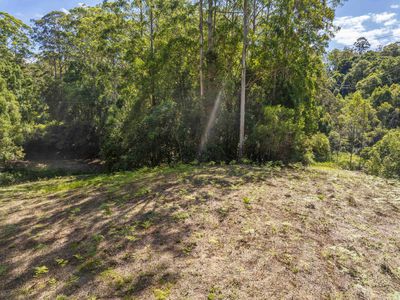 80 Robb Road, Lillian Rock
