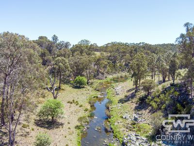 954 Bullock Mountain Road, Glen Innes