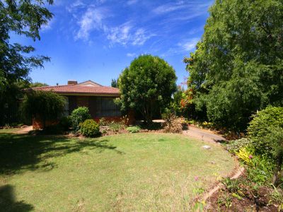 15 LINDEN PLACE, Gunnedah