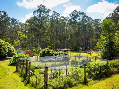 Kingfisher Road , Wyndham