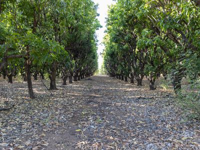 Lot 23 Weaber Plain Road, Kununurra