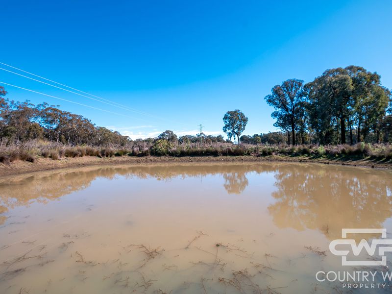 Lot 8, - Emmaville Road, Emmaville