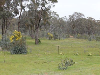 40 Plonk Gully Road, Redcastle
