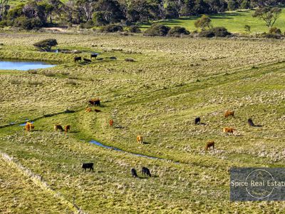 132 Plozza Road, Parryville