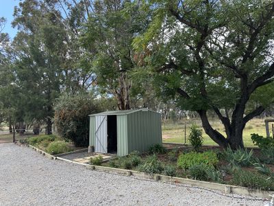 Bradview / 1009 Warrumbungles Way, Coolah