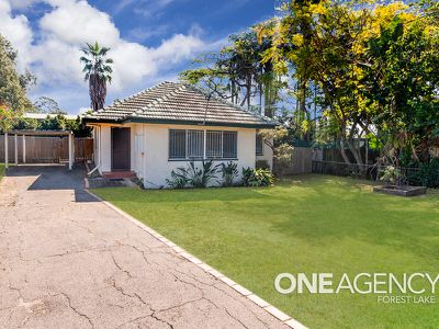 19 Begonia Street, Inala