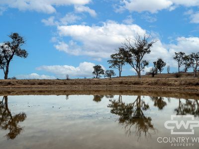 Lot Plain View South, 916 Emmaville Road, Glen Innes