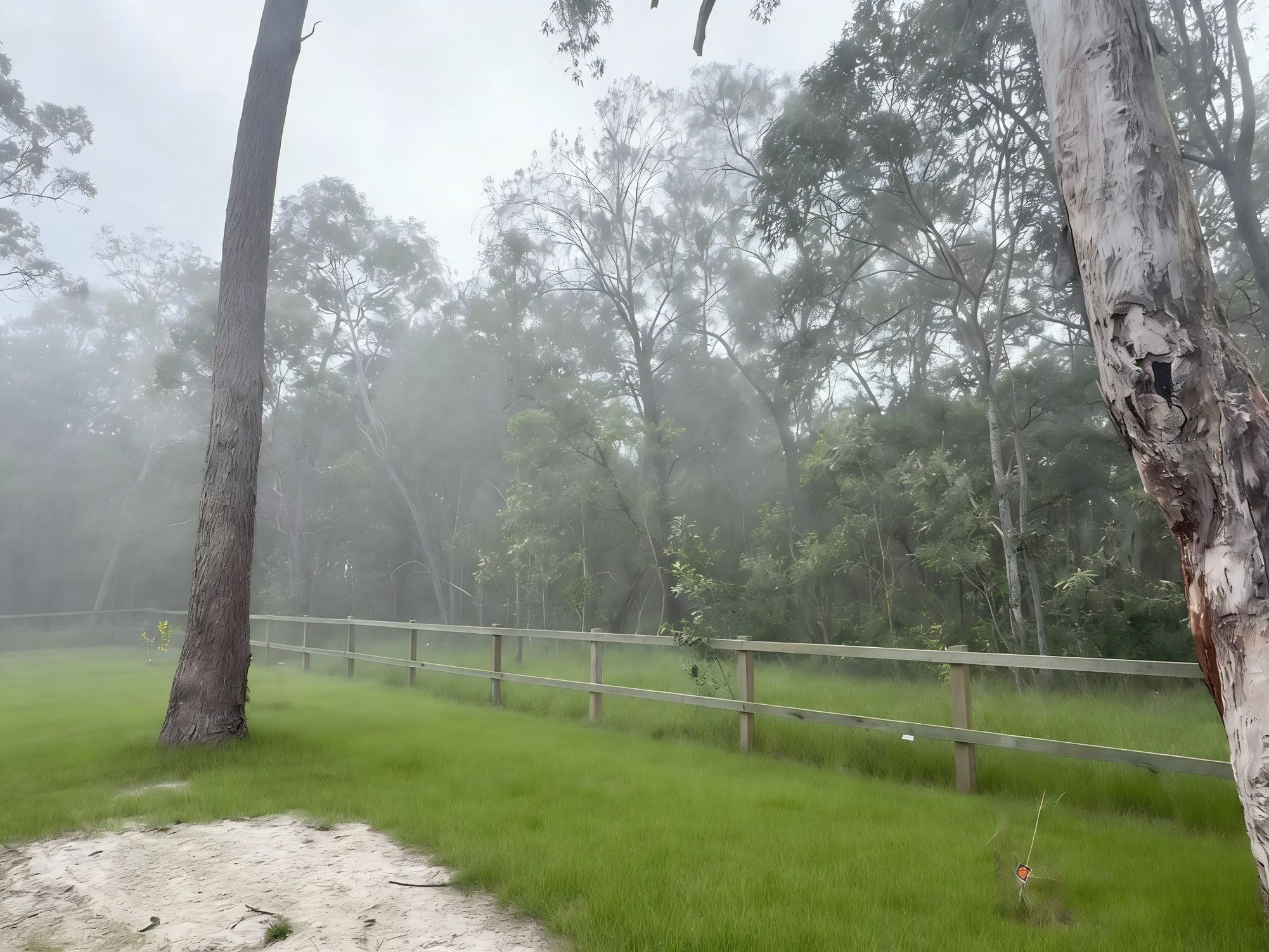 50 Knightsbridge Street, Pallara