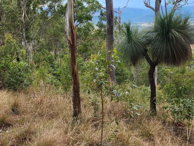 5887 Oxley Highway, Ellenborough