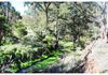776 Boree Lane, Orange