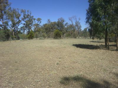 Lot 251 Balpool Road, Moulamein
