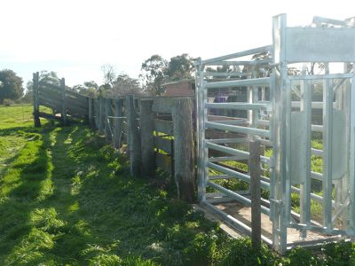 McClays Lane, Wakool