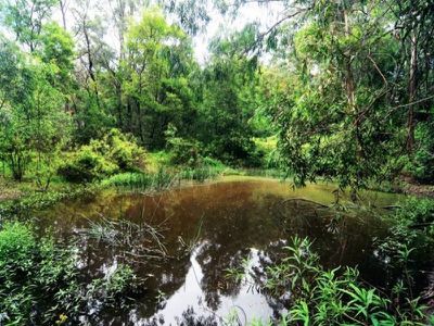 673c Tallowa Dam Road, Kangaroo Valley
