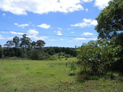 70 Macadamia Drive, Maleny