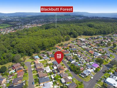 9 Kookaburra Place, Barrack Heights