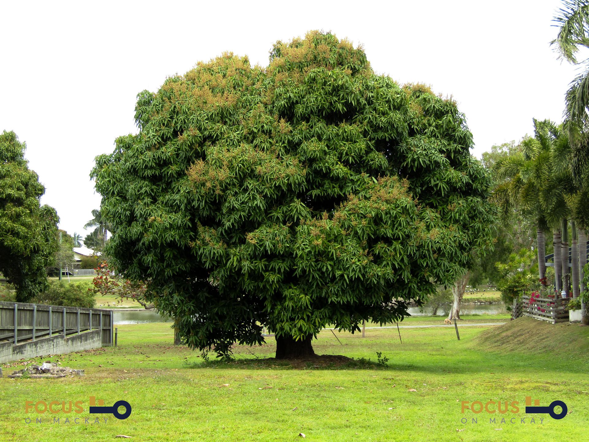 23 Meadow Street, North Mackay