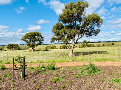 Lot 505, 39 Growth Drive, Weir Views