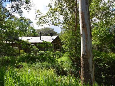 64 Aracuaria Creek Road, Brooloo