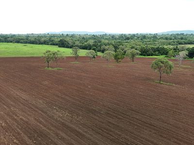 2583  Isabella McIvor Road , Cooktown