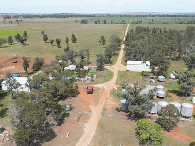 3166 Back Trundle Road, Parkes