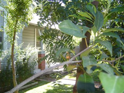 136 Bultje Street, Dubbo
